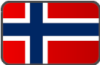 Norges flagga knappformat